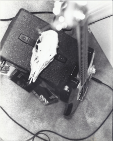 Still life with CDs, guitar, skull, and amp