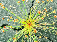 The Changing Land from the album of the same name by Michael Channing