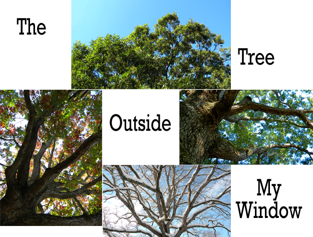 The Tree Outside My Window by Michael Channing