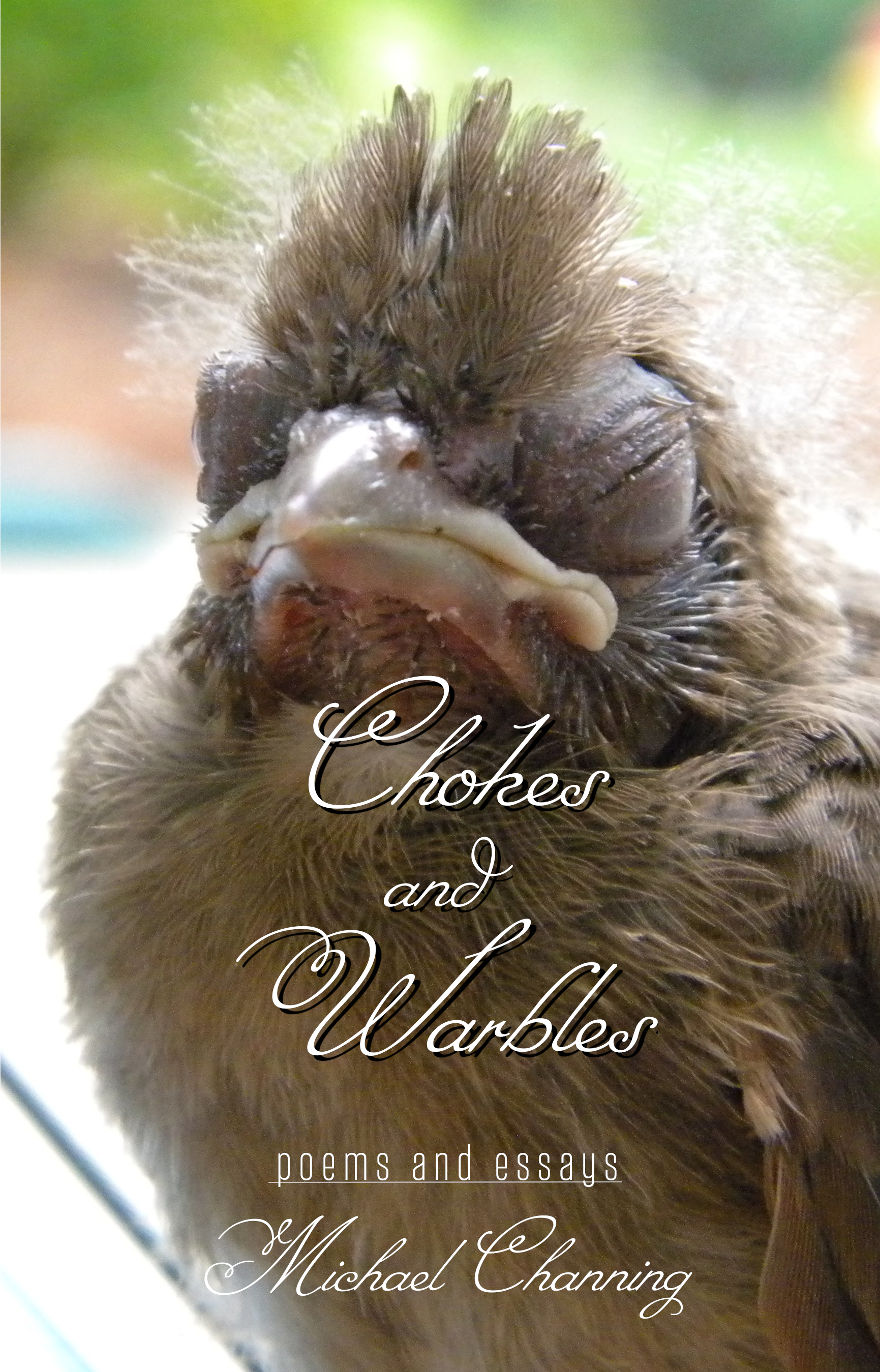 Chokes and Warbles, a book of essays and poems by Michael Channing