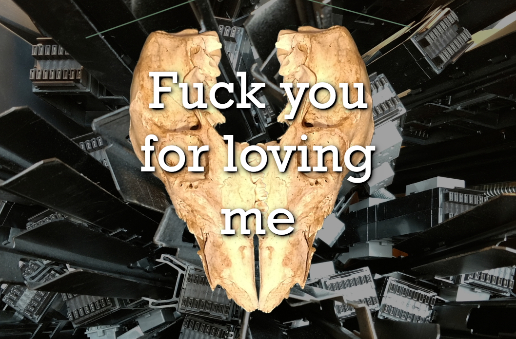 fuck you for loving me