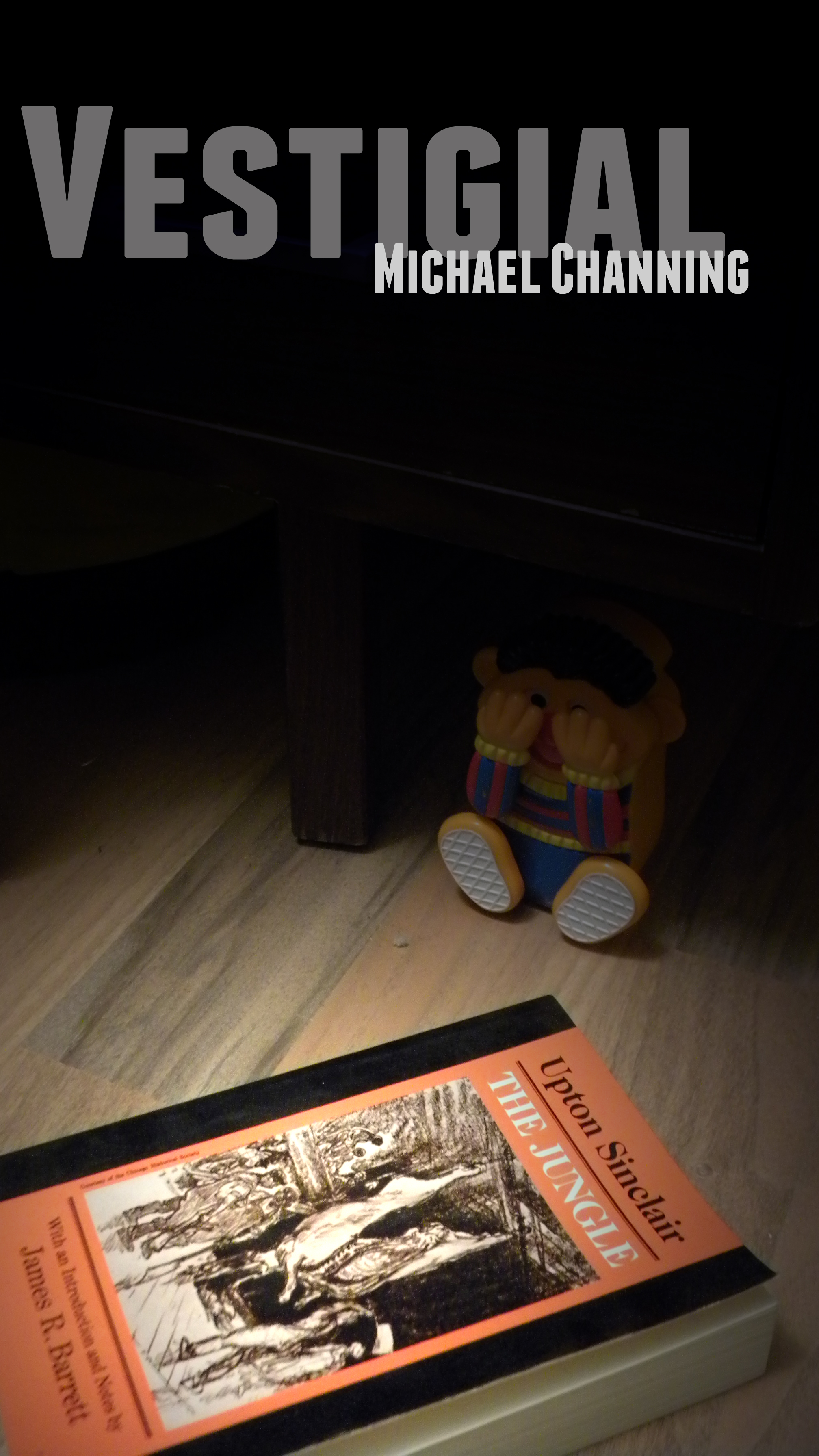 Vestigial, a book of poems by Michael Channing